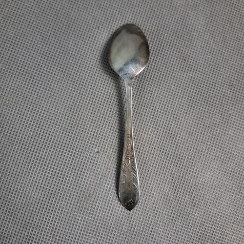 20250424_102320.jpg