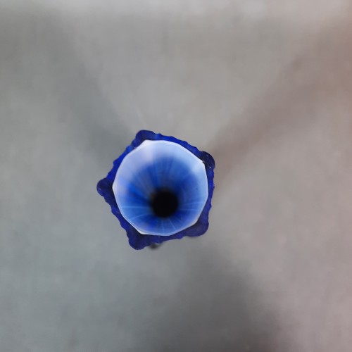 20251202_134711.jpg