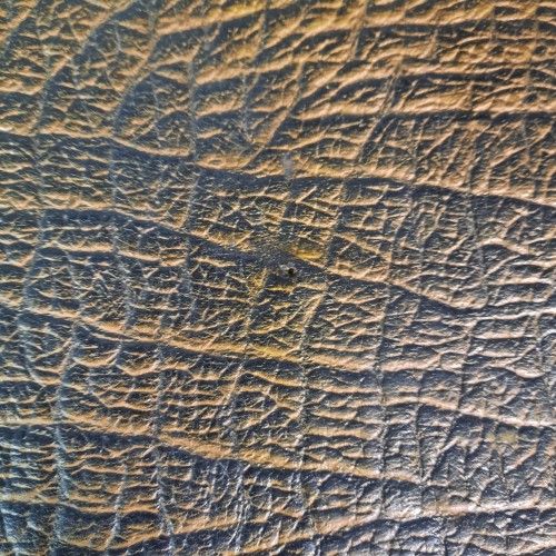 20251210_113219.jpg