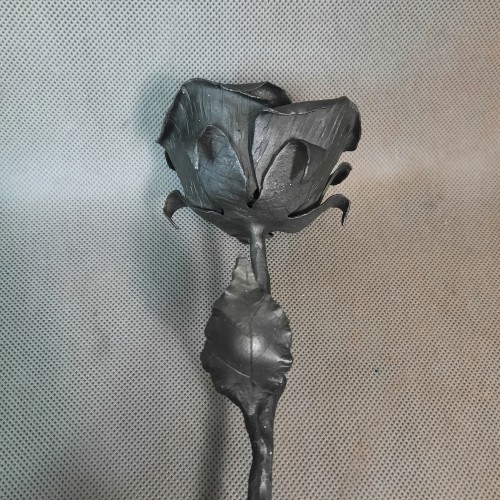 20251215_135245.jpg