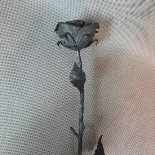 20251215_135329.jpg