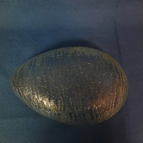 20251216_120514.jpg