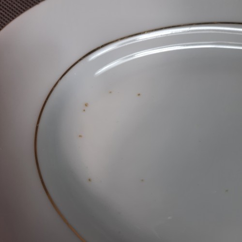 20260318_110937.jpg