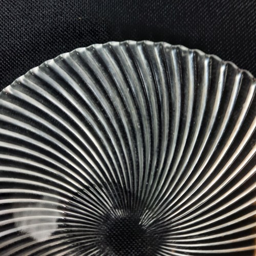 20260325_115530.jpg