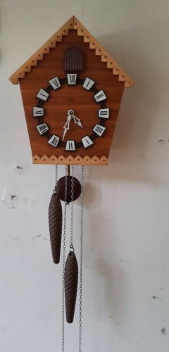20260715_125807.jpg