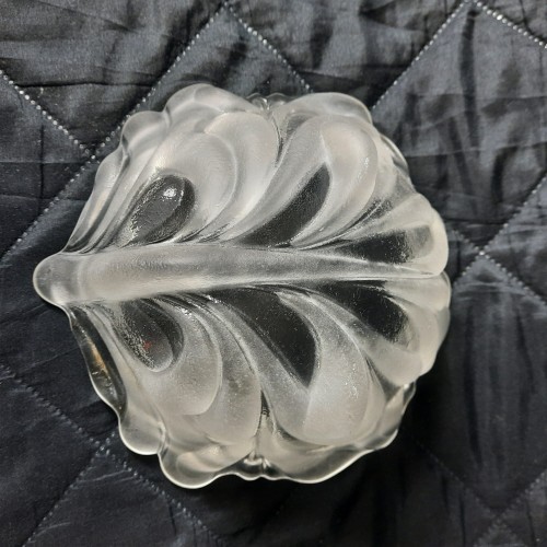 20240329_123525.jpg